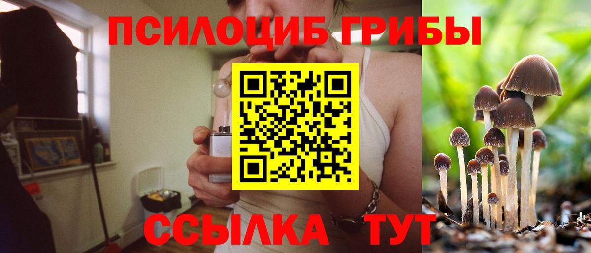 Славянск-на-Кубани  Галлюциногенные грибы ЛСД  Вход с VPN 