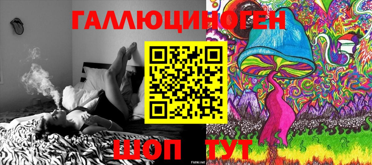 Псилоцибиновые грибы прущие грибы Славянск-на-Кубани